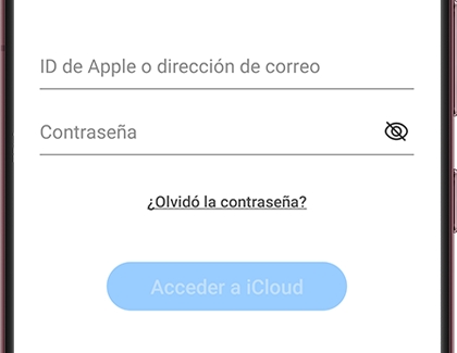 iCloud sign in screen with the Smart Switch app