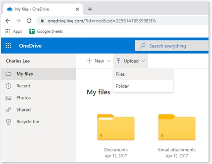 Files highlighted on the OneDrive website