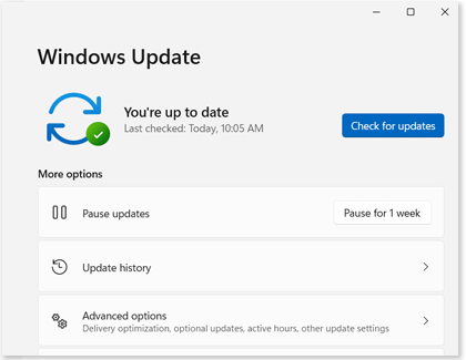 Check for updates highlighted on a Windows 11 PC