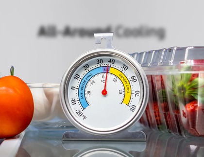 Thermometer inside the fridge