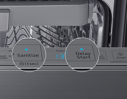 Image of control panel magnifying the Sanitize and Delay Start buttons
