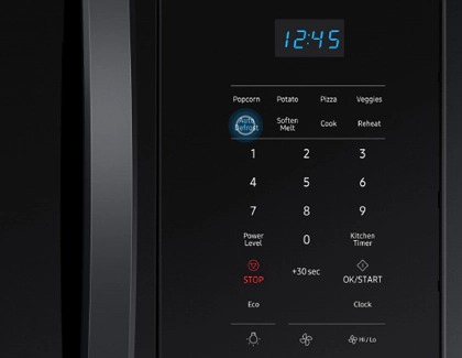 Auto Defrost button highlighted