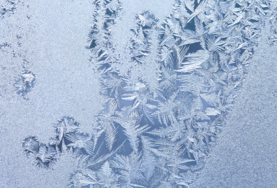Frost forms in the freezer or refrigerator