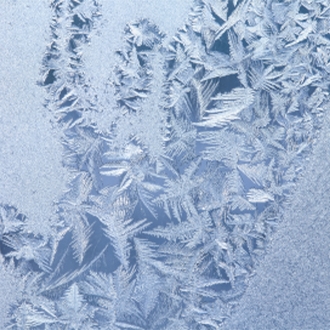 Frost forms in the Samsung freezer, refrigerator, or ice bucket
