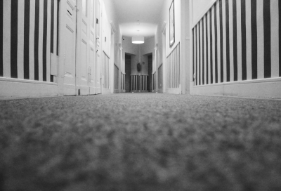 Hallway with carpeting and striped wallpaper