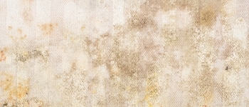 Mold stains on white cloth