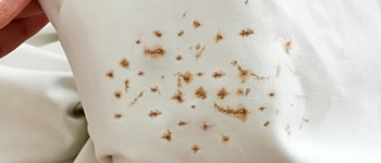Laundry Is Stained Or Damaged After Using Samsung Washing Machine