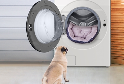 Care for dog beds in your Samsung washing machine and dryer