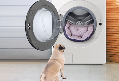 Dog watching his dog bed going in the Samsung Washer