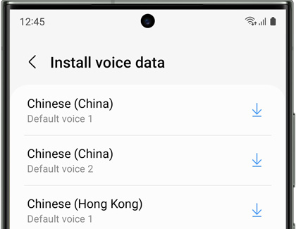 Text-to-Speech voice data download screen