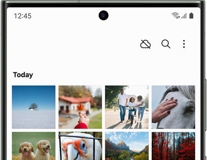 Gallery app on the Pictures tab