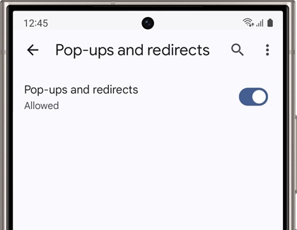 Pop-ups and redirects enabled