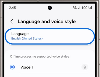 Language and voice style settings screen displaying English selected as the main language