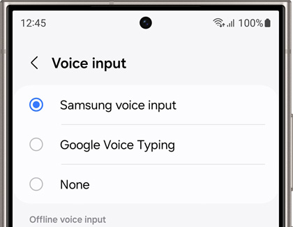 Voice input settings screen showing options for Samsung voice input, Google Voice Typing, or None.