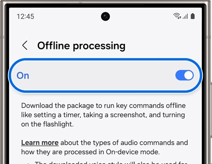 On switch highlighted and activated under Offline processing