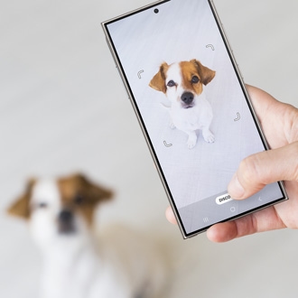 Person using a Galaxy phone to take a photo of a dog