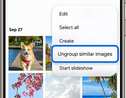 Samsung Gallery app showing an options menu with 'Ungroup similar images' highlighted, alongside options to edit, select all, create, or start a slideshow.