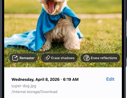 A Galaxy A series phone screen showing a photo of a dog in a blue cape with Remaster, Erase shadows, and Erase reflections options displayed.