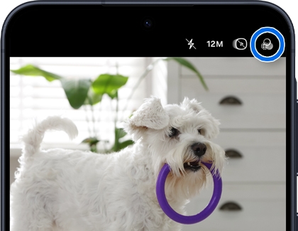A Galaxy A series phone screen showing a photo of a dog with the filters icon in the top right corner highlighted in a blue circle.