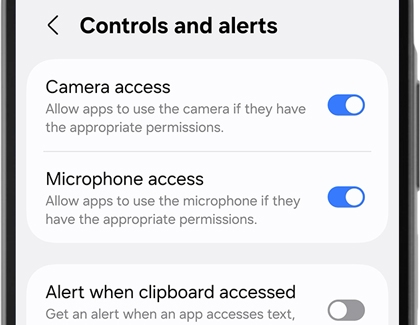 Menu screen showing the toggle for Camera access in the on position.