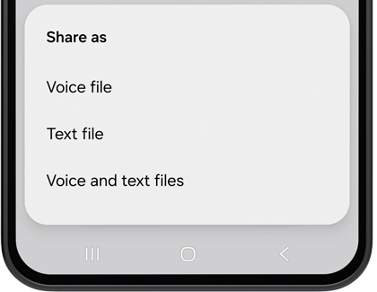 A Galaxy phone screen showing a share as pop up window with options for voice file, text file, and voice and text files.