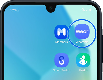 Galaxy Wearable app icon highlighted on the phone home screen.