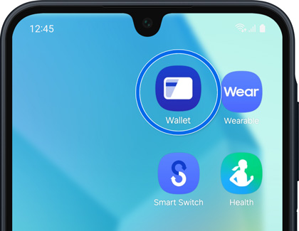 Samsung Wallet app icon selected from the Home screen on a Galaxy A16.