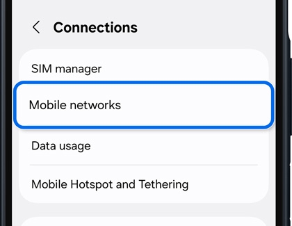 Mobile networks selected in the Connections settings menu. 