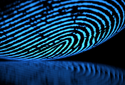 fingerprint sfg demo