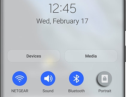 Portrait icon highlighted on the Quick settings panel