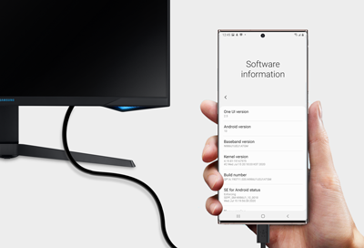 Software information menu on a Samsung phone