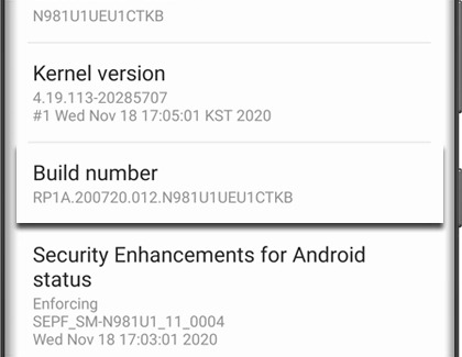 Build number highlighted on a Galaxy phone