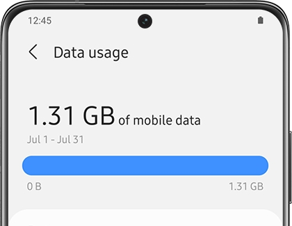 A list of data usage statistics on a Galaxy phone