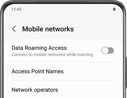 The Data Roaming option displayed on a Galaxy phone