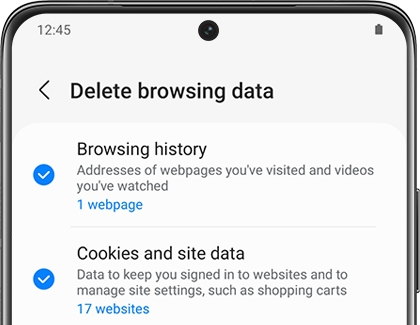 A list of selected browsing data on a Galaxy phone