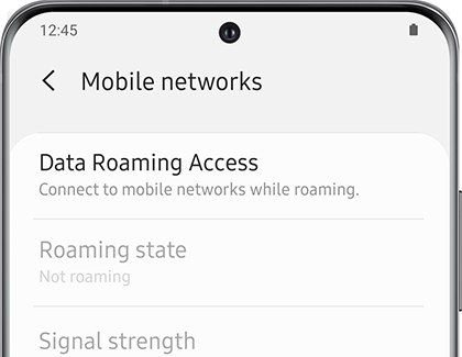 The Data Roaming option displayed on a Galaxy phone