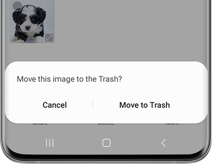 Popup asking to confirm moving 1 image to the Trash