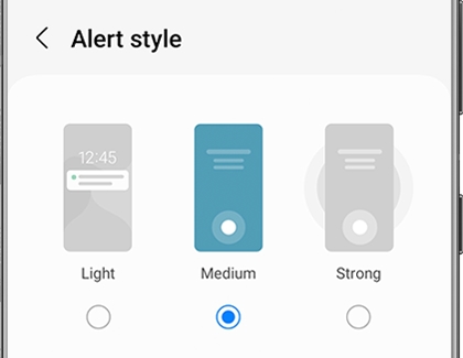 List of options for Alert style