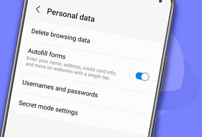 Personal data and delete browser settings on Galaxy S21 Ultra with One UI 4.0