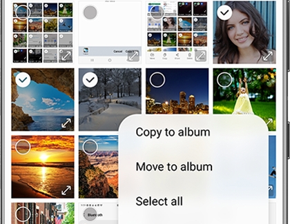 Move to album option in Gallery