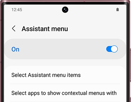 Assistant menu switched on with a Galaxy phone