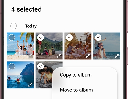 Move to album option in Gallery