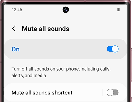 Mute all sounds switched on with a Galaxy phone