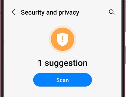 Scan button under Security and privacy