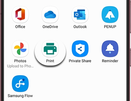 Print icon highlighted in Share options