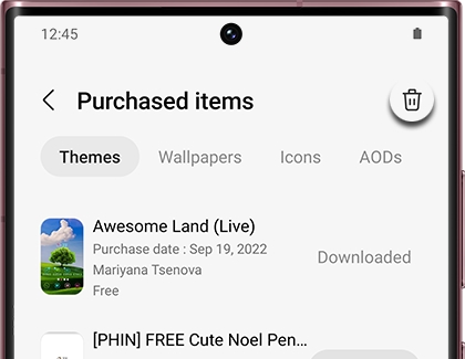 Purchased items page with Themes tab and Delete icon highlighted