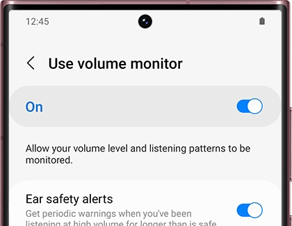 List of settings under Use volume monitor
