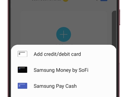  Screenshot of Add Credit/Debit Card in Samsung Pay
