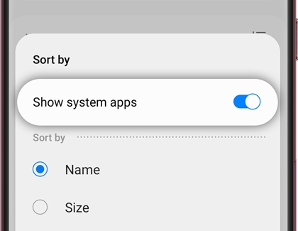 Show system apps turned on