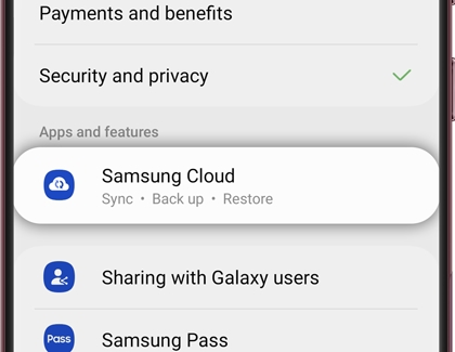 Samsung Cloud highlighted in settings